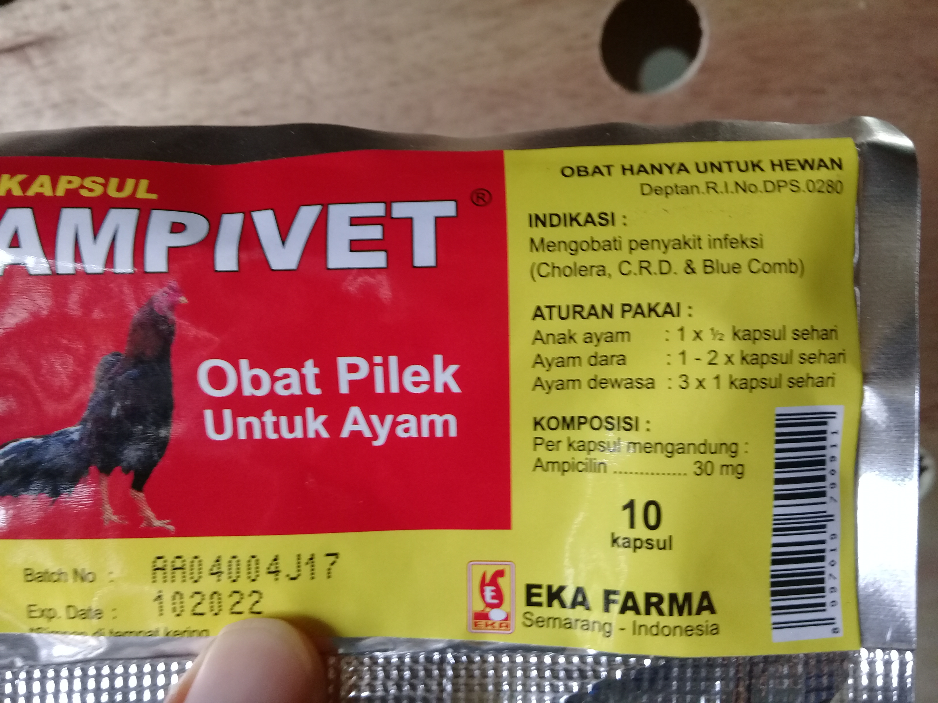 Obat Ayam Snot di Apotik Lampung