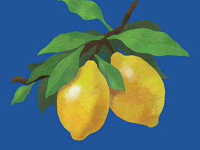 Lemons digital fruit illustration lemon painting