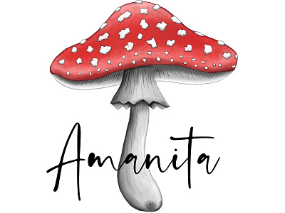 Amanita Muscaria amanita artwork canvas clipart illustration mushroom print