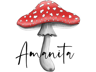 Amanita Muscaria