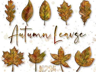 Autumn leaves artwork autumn fall illustration leaves print vibes watercolor