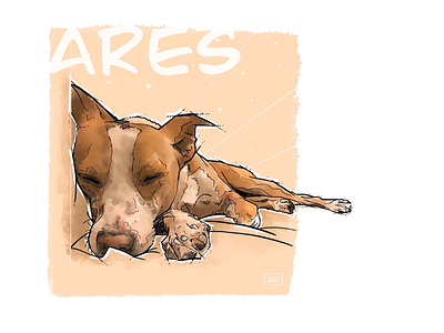 Ares 🐶 ares digital art digital illustration dog illustration procreate