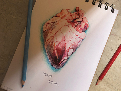 True love heart illustration love pencil drawing