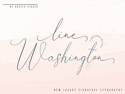 Line Washington Font branding design illustration lettering logo script type typography ui vector