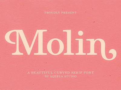 Molin branding design illustration lettering logo script type typography ui vector