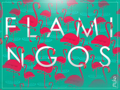Flamingos Dribbble art flamingos illustration vector