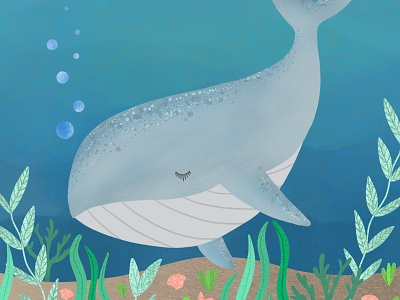 Whimsical Whale character childrens book childrens illustration design digital art drawing illustration whale