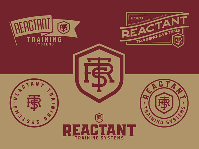Reactant Training Systems Logo branding design graphic graphicdesign logo vector