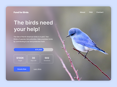 DailyUI #32 : Crowdfunding Campaign