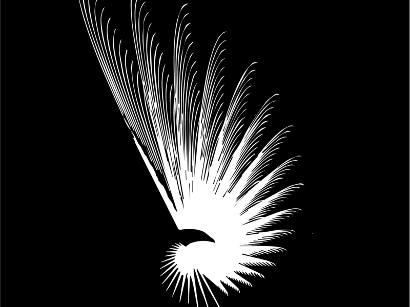 Hawk animal design illustration vector