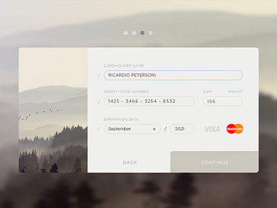 Credit Card Form. PSD attached. 002 credit card dailyui payment ui