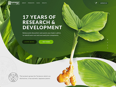 Website Design - Turmeron Joint design fresh green hero homepage japanese photoshop plants suppliments turmeric website