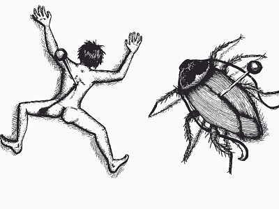 cockroach