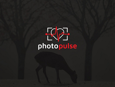 Photo pulse logo brand identity branding flat graphic design icon illustrator logo logodesign minimal vector