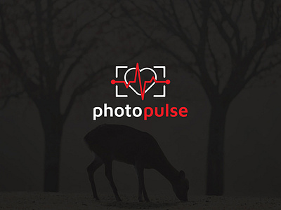 Photo pulse logo