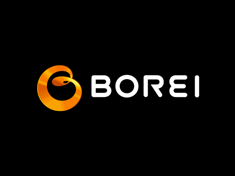 Borei - Logo Animation 3d motion logo animation