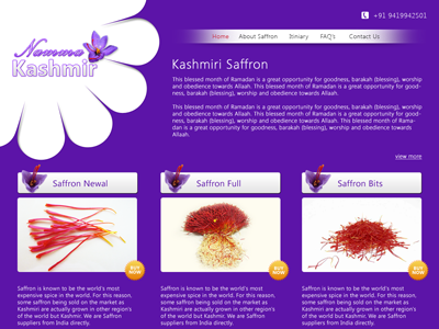 eCommerce design ecommerce saffron ui design