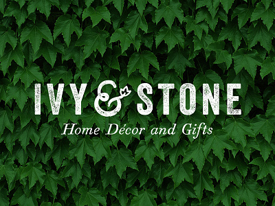 Ivy & Stone branding logo