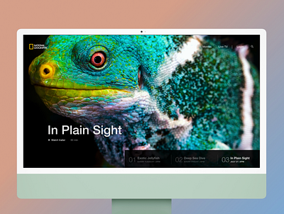 🐼 National Geographic Carousel Design adobe xd beautiful branding design figma graphic design illustration ui ux vector