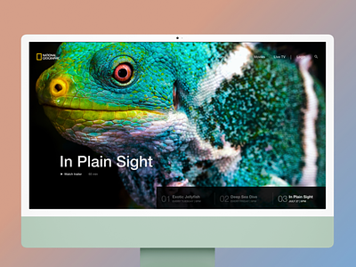 🐼 National Geographic Carousel Design