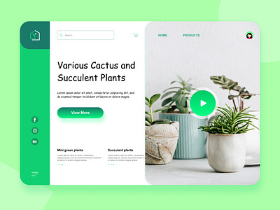 Plants webpage concept