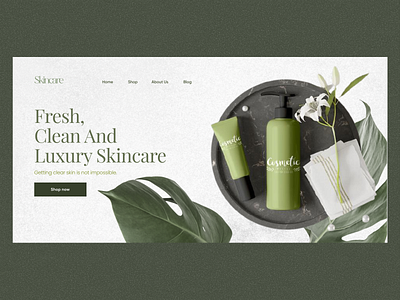 Cosmetics / Skin Care Website header