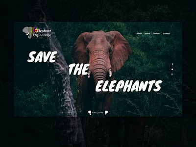 Web design idea for Elephant Orphanage adobexd branding design front end homepage illustration inspiration logo ui ux web design