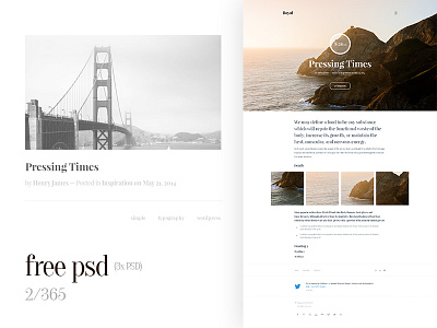 Free Web Design Tumblr Template (2/365)