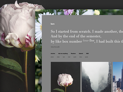 Lure - Portfolio - Tumblr Theme blog filter grey grid minimal portfolio responsive theme tumblr ui