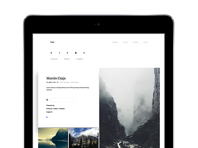 Exp - Grid Tumblr Theme clean grid minimal portfolio theme tumblr ui web