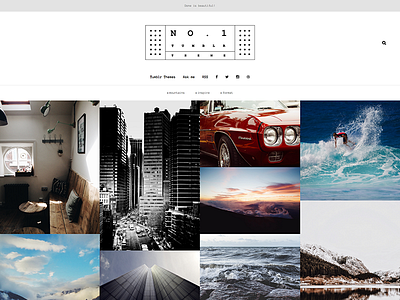 No.1 Portfolio Tumblr Theme design gallery grid minimal portfolio ui web