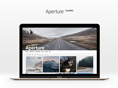 Aperture 2.0.0 Tumblr Theme for Photographers
