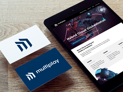 Multiplay Brand brand design logo website