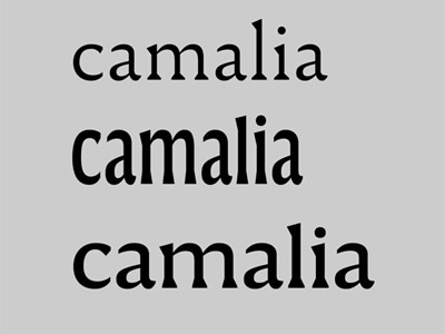 Camalia dupre font humane system type typeface venetian xavier