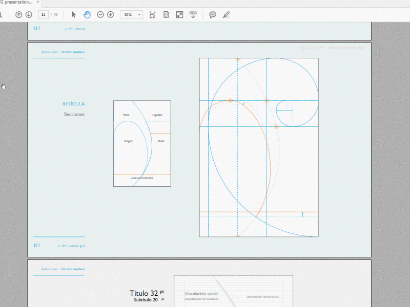 Branding guides for canvas app