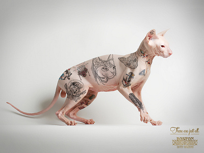Viral ADV | Personal project adv cat sphynx tattoo tattoo convention