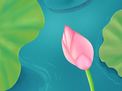 Chinese lotus flower illustration