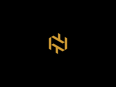NT logo monogram