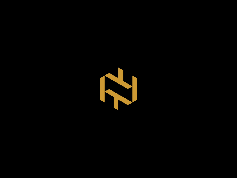 NT logo monogram by barastd on Dribbble