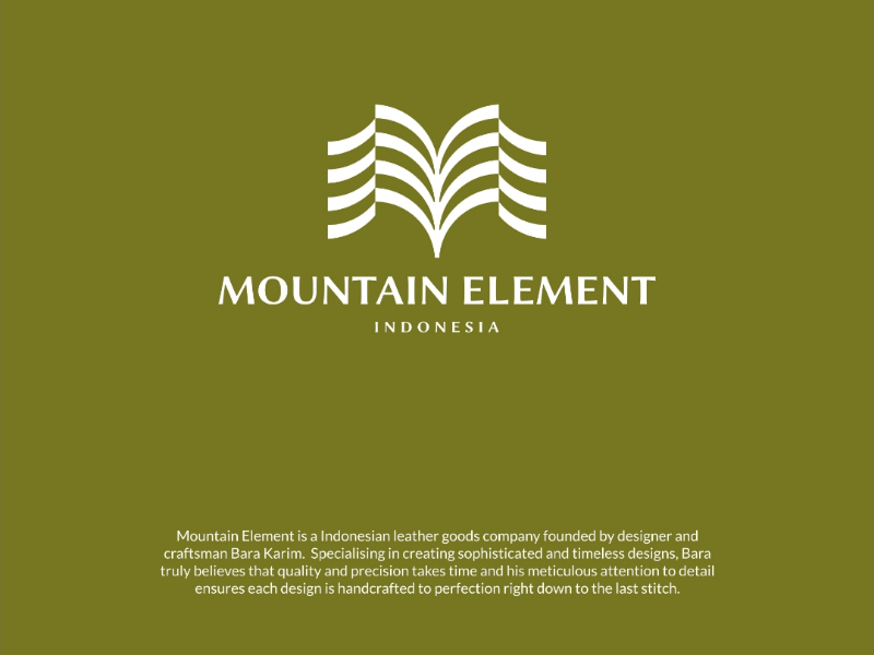 Mountain Element identity branding brand logo design logo