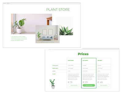 Web interface for plants store