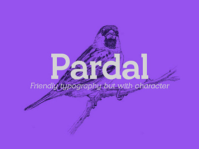 Pardal Free Font Family