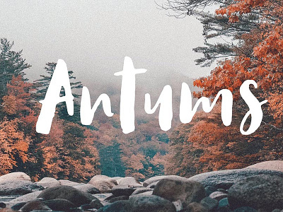 Antums Free Script Font design font font design font family fonts free font free fonts free typeface freebie freebies typeface typography