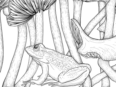 Toad & Shrooms cyanescens illustration ipad mushrooms pen ink procreate toad