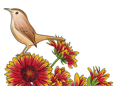 Put A Bird On It bird botanical gaillardia illustration ipad lark procreate