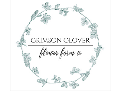 Crimson Clover Logo botanical branding illustration ipad logo pen ink procreate