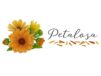 Petalosa Logo botanical branding calendula illustration ipad logo pen ink procreate