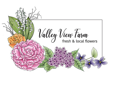 Logo: Valley View Farm botanical branding illustration ipad logo pen ink peony procreate