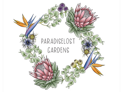 Logo Paradise Lost botanical branding illustration ipad logo pen ink procreate protea