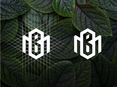 mb logo design